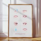 How to Brush your Teeth anatomy chart for clinics