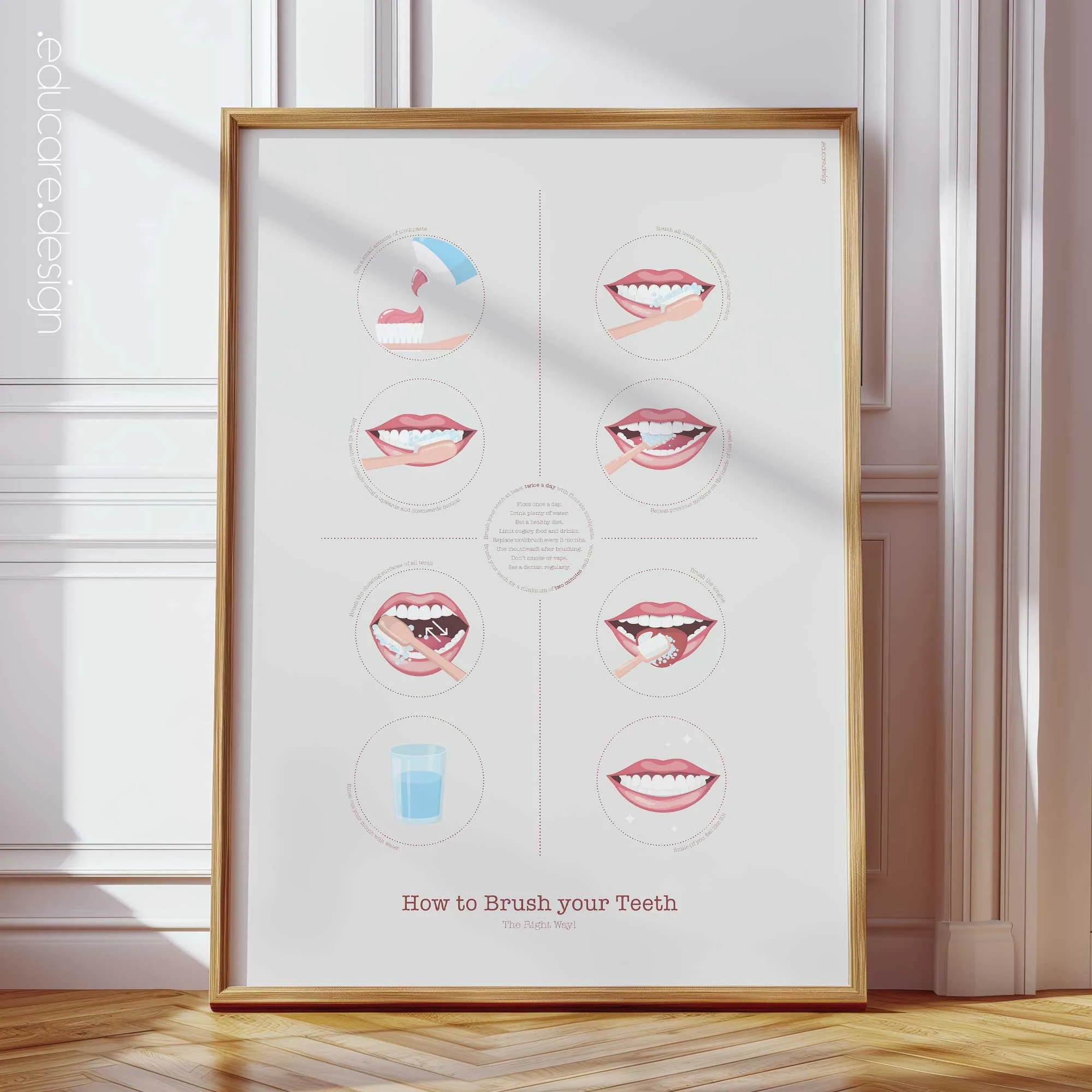How to Brush your Teeth anatomy chart for clinics