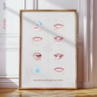 Comment se Brosser les Dents planche anatomique pour cabinets et cliniques