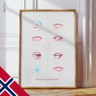 Slik Børster du Tennene anatomidiagram for klinikker