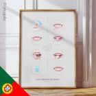 Como Escovar os Dentes diagrama anatómico para clínicas e consultórios