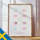 Så Borstar du Tänderna anatomidiagram för kliniker