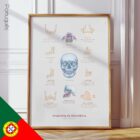 Anatomia da Mandíbula e do Processo Palatino diagrama anatómico para clínicas e consultórios
