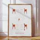 Dental Care Set anatomy chart for clinics