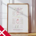 Tandfrembrudsdiagram anatomidiagram til klinikker