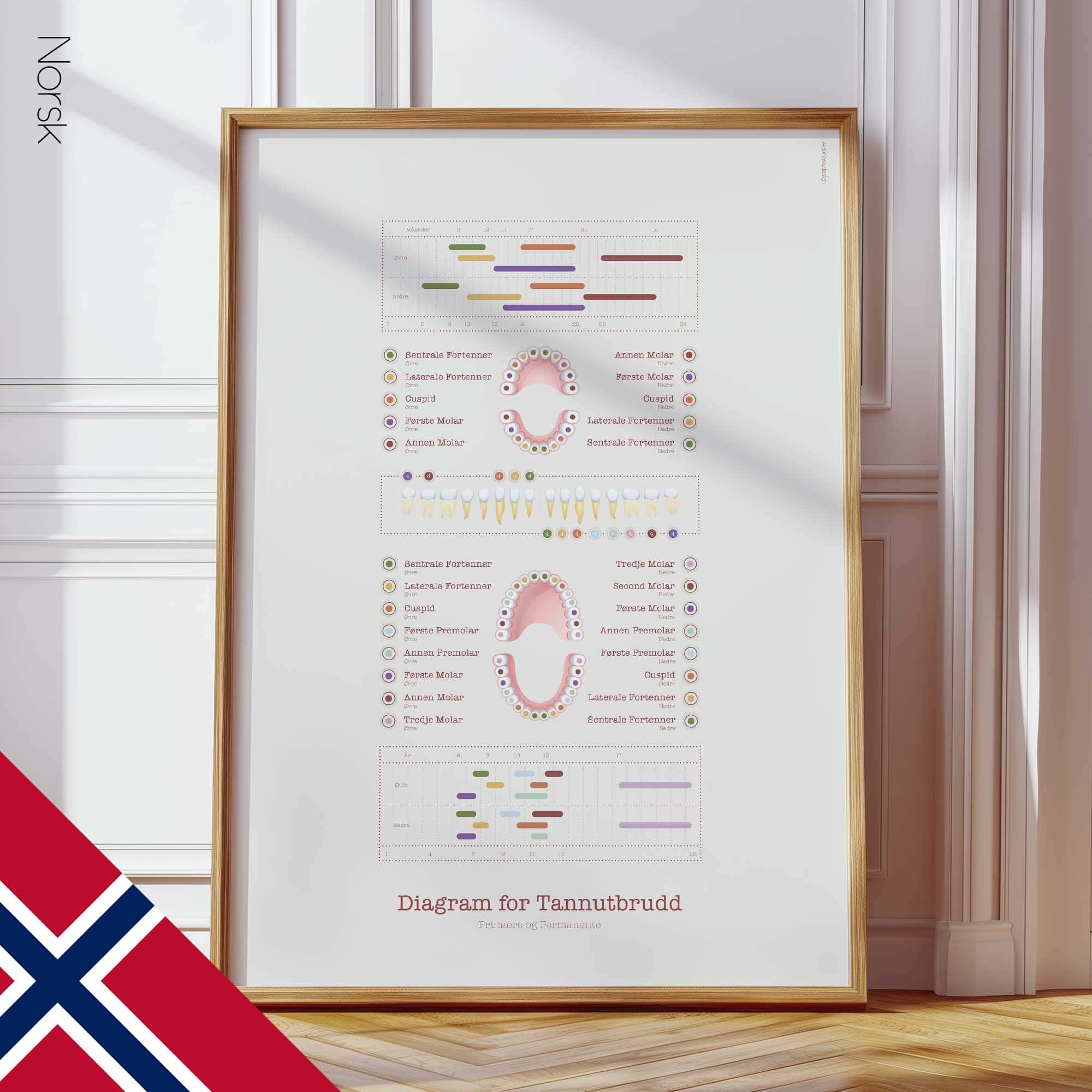 Teeth Eruption Chart