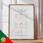 Diagrama de Erupção Dentária diagrama anatómico para clínicas e consultórios