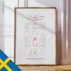 Tandframbrottsdiagram anatomidiagram för kliniker