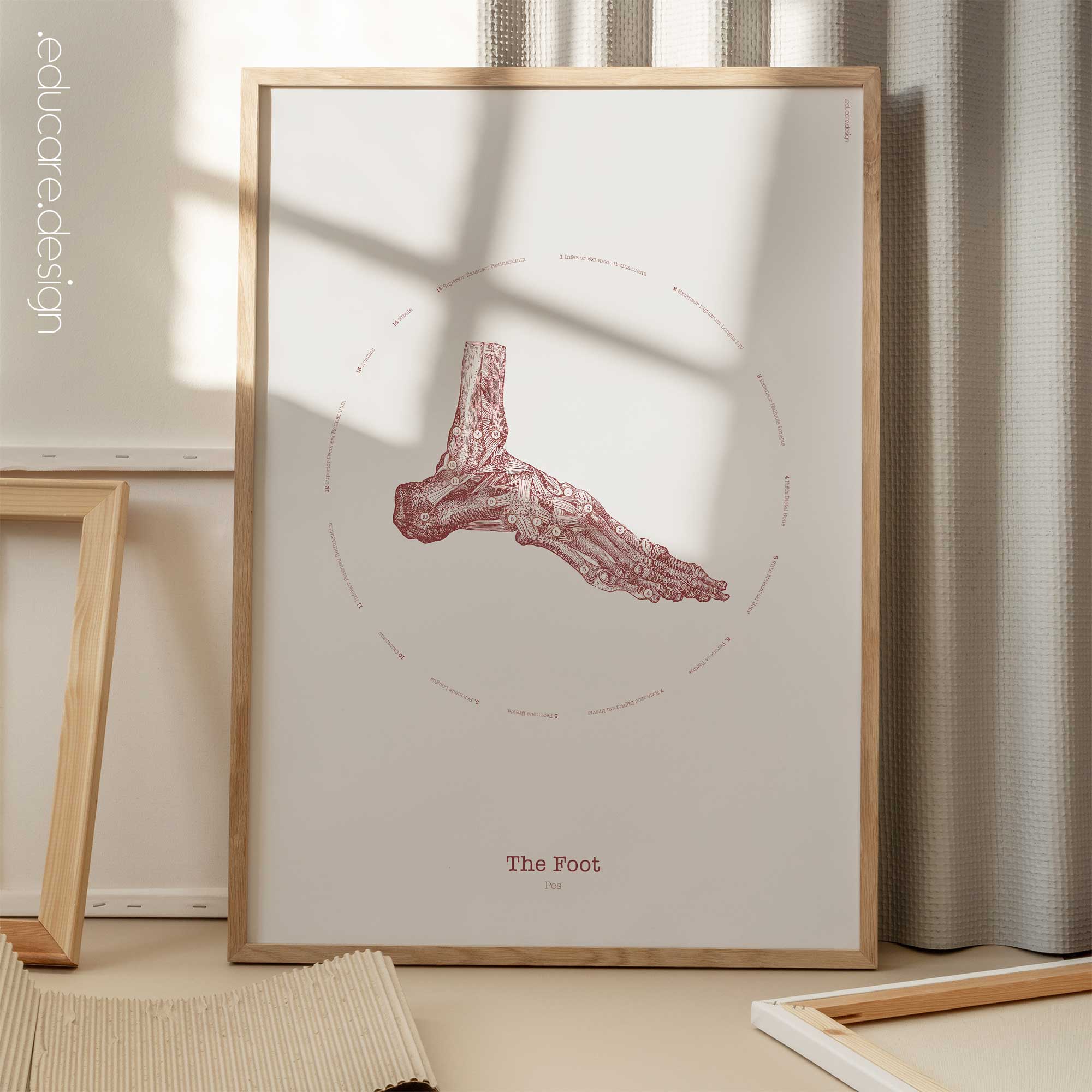 The Foot Vintage Artwork