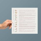 Back Exercises patient handout