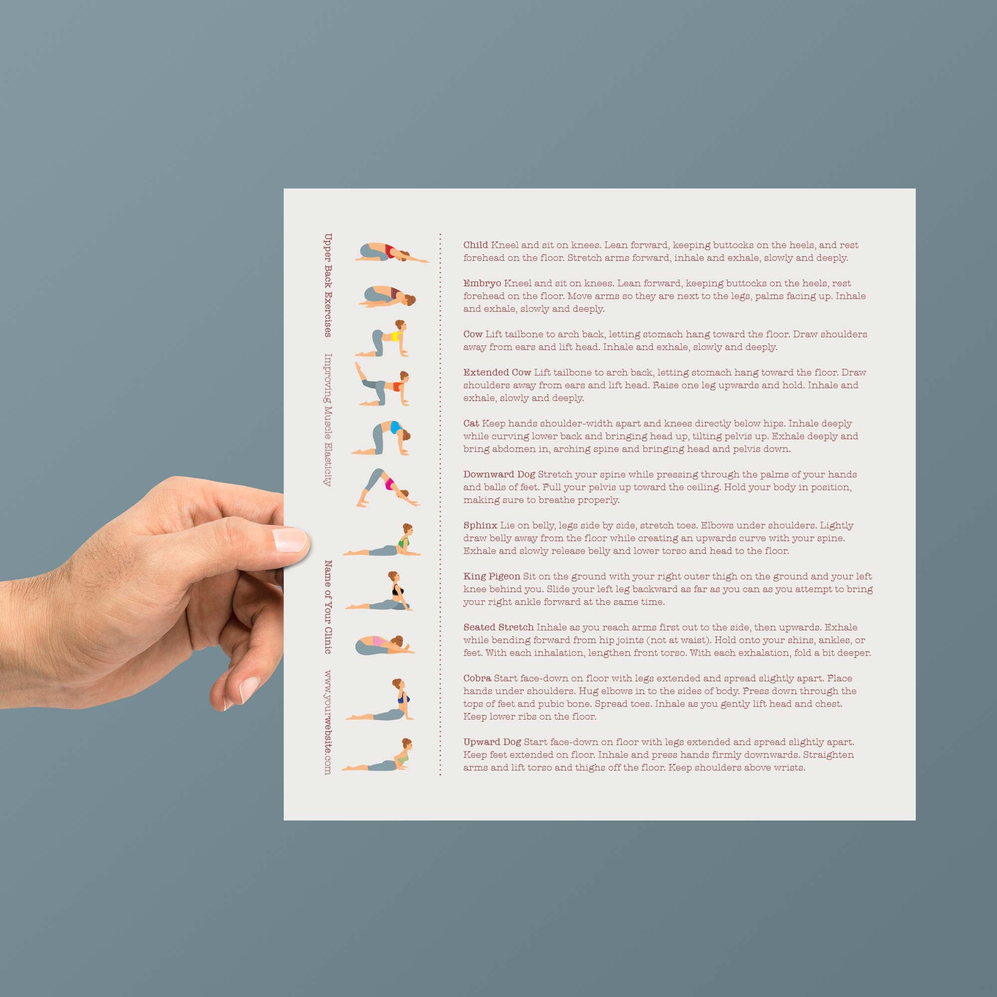 Back Exercises patient handout