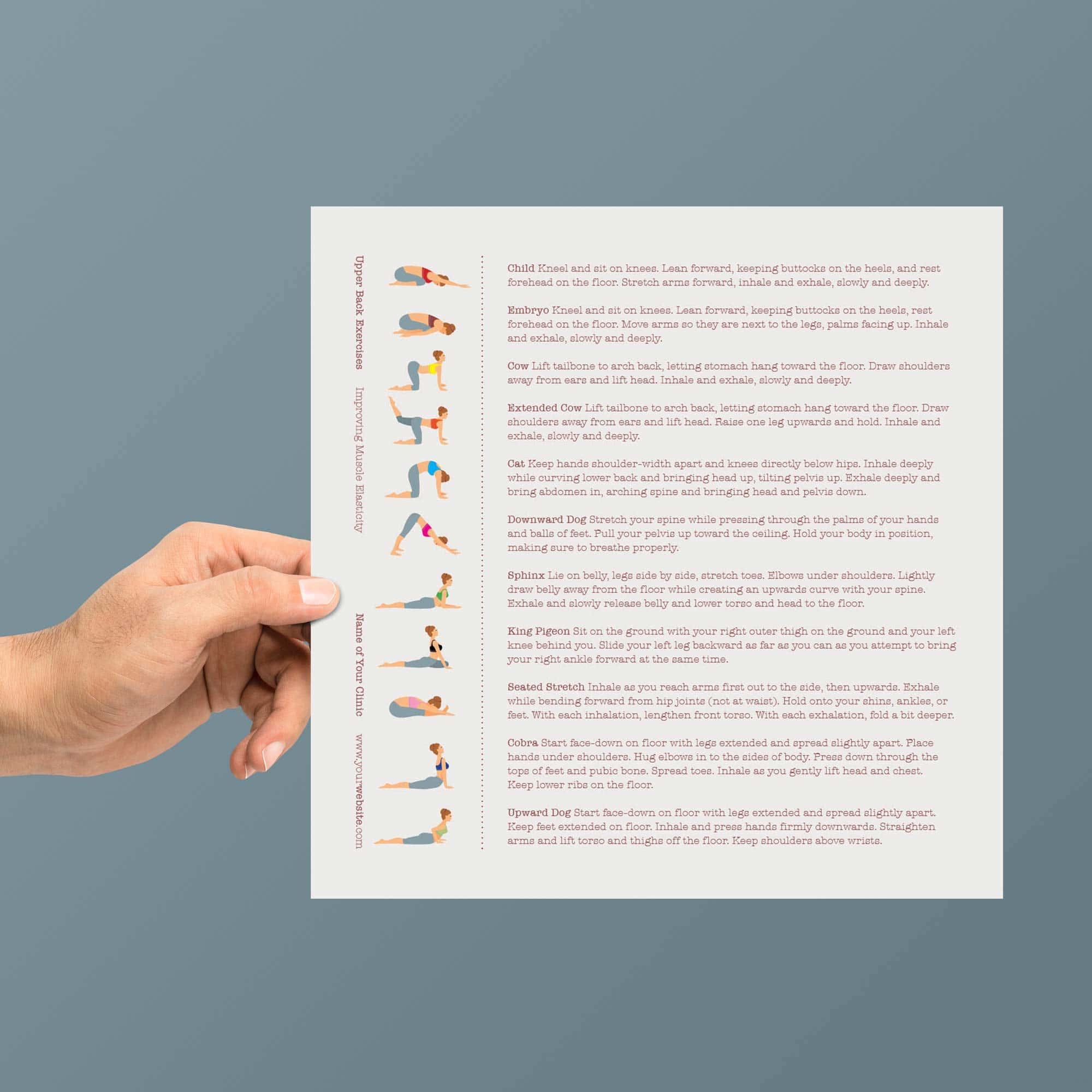 Back Exercises patient handout