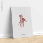 The Hand anatomy chart for clinics