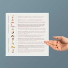 Back Exercises Card anatomy chart for clinics