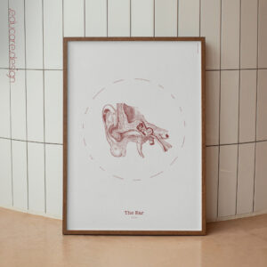 The Ear Vintage Anatomy Artwork