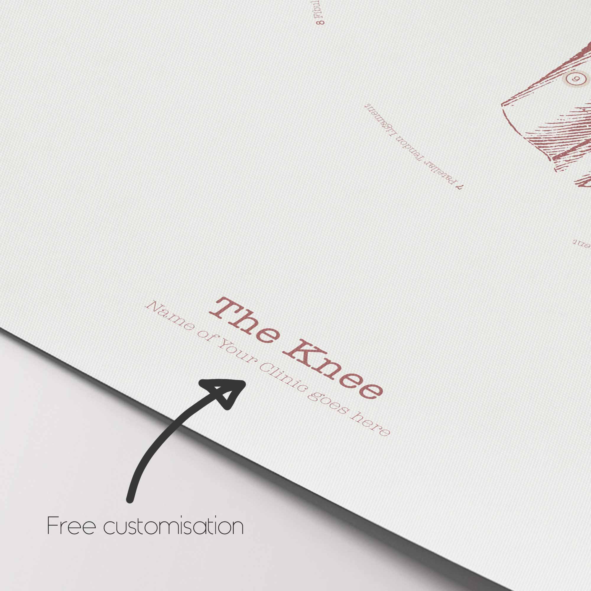 Bursitis, Arthritis and Tendonitis