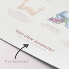 The Jaw Anatomy and Palatine Process anatomy chart for clinics
