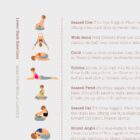 Back Exercises Card anatomy chart for clinics