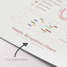 Teeth Eruption Chart