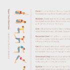 Back Exercises Card anatomy chart for clinics