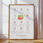 Kopfschmerztypen Anatomie-Chart für Praxen und Kliniken
