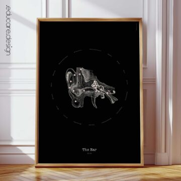Ohr Anatomie, Vintage Black Edition Chart