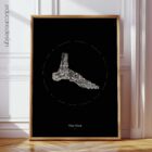 The Foot anatomy chart for clinics