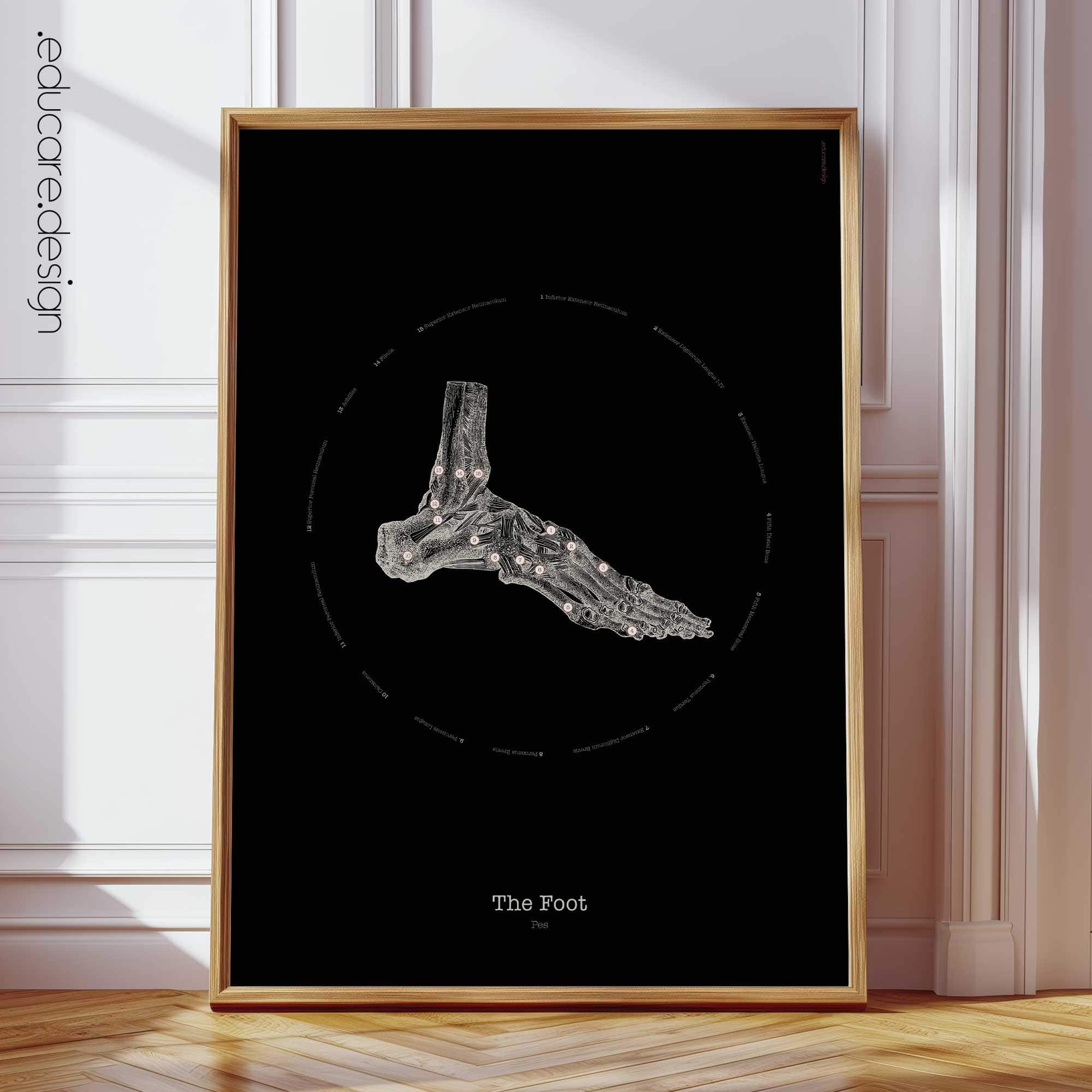 Hand Anatomy, Vintage Black Edition Chart