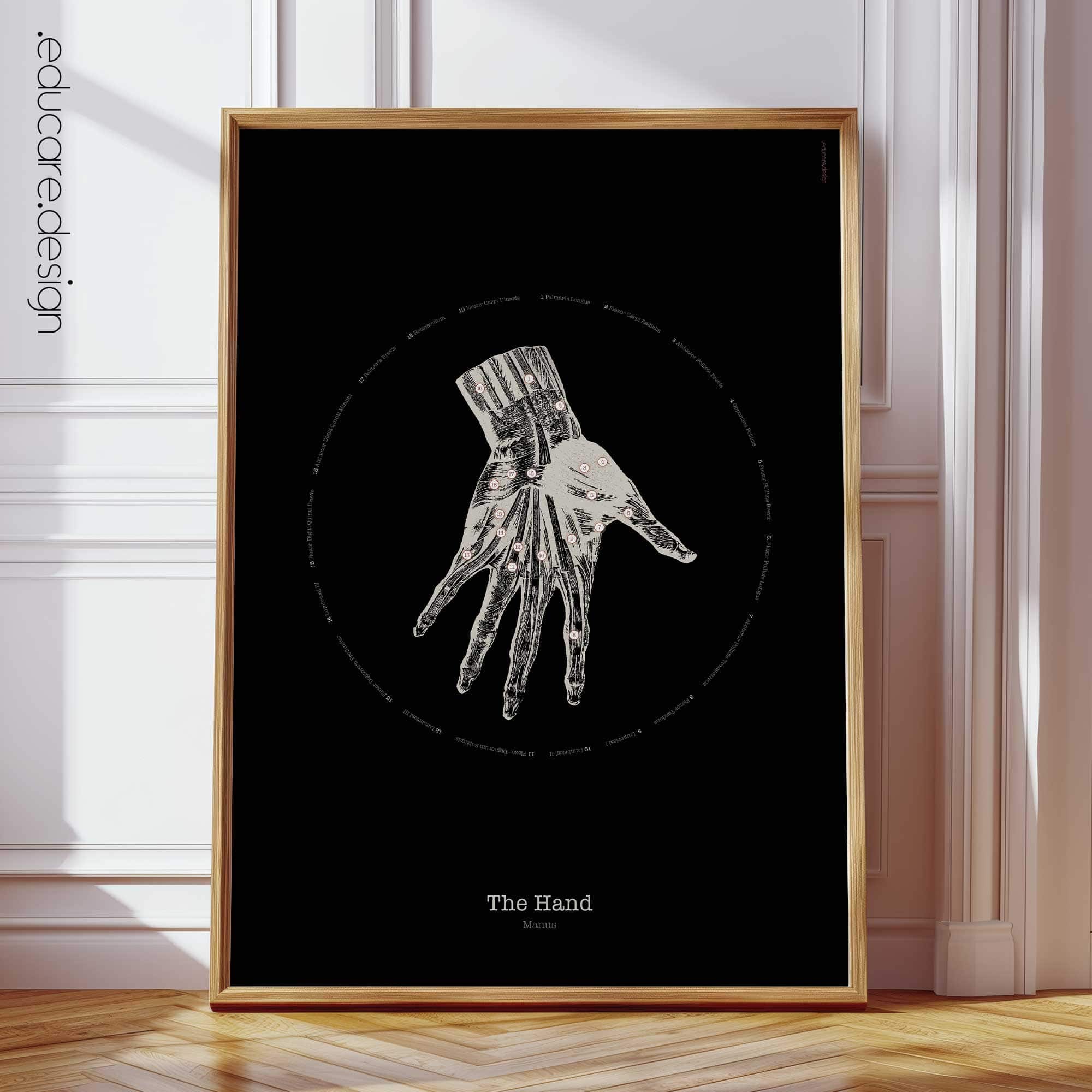 Hand Anatomy, Vintage Black Edition Chart