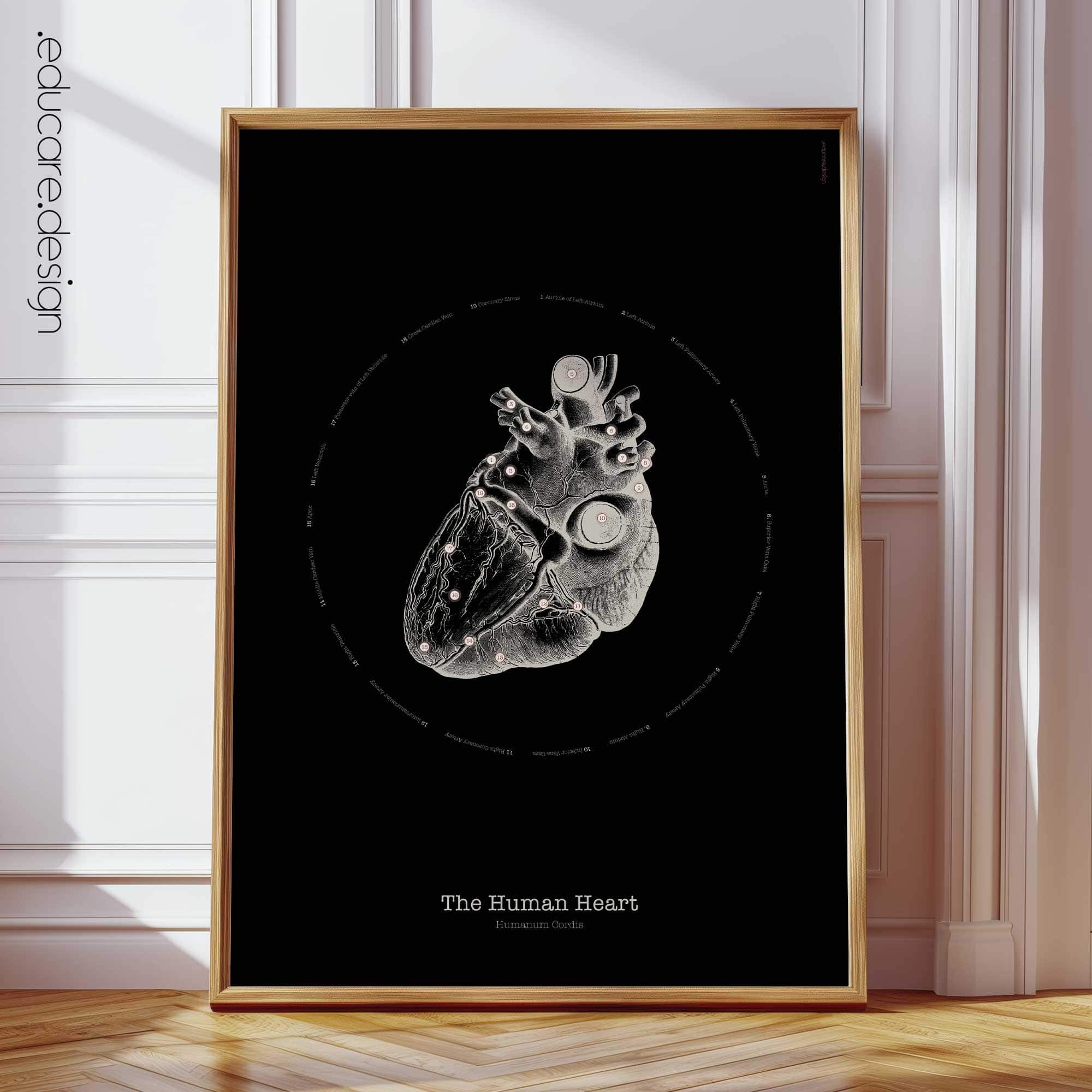 Heart Anatomy, Vintage Black Edition Chart