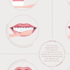 How to Brush your Teeth anatomy chart for clinics