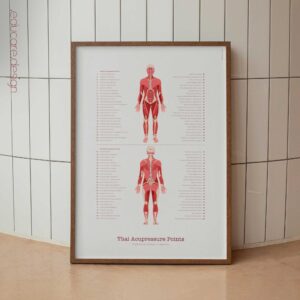 Thai Acupressure Points