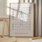 Bursitis Arthritis & Tendonitis