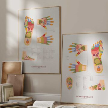 Reflexology Chart Set with Feet, Hand and Ear