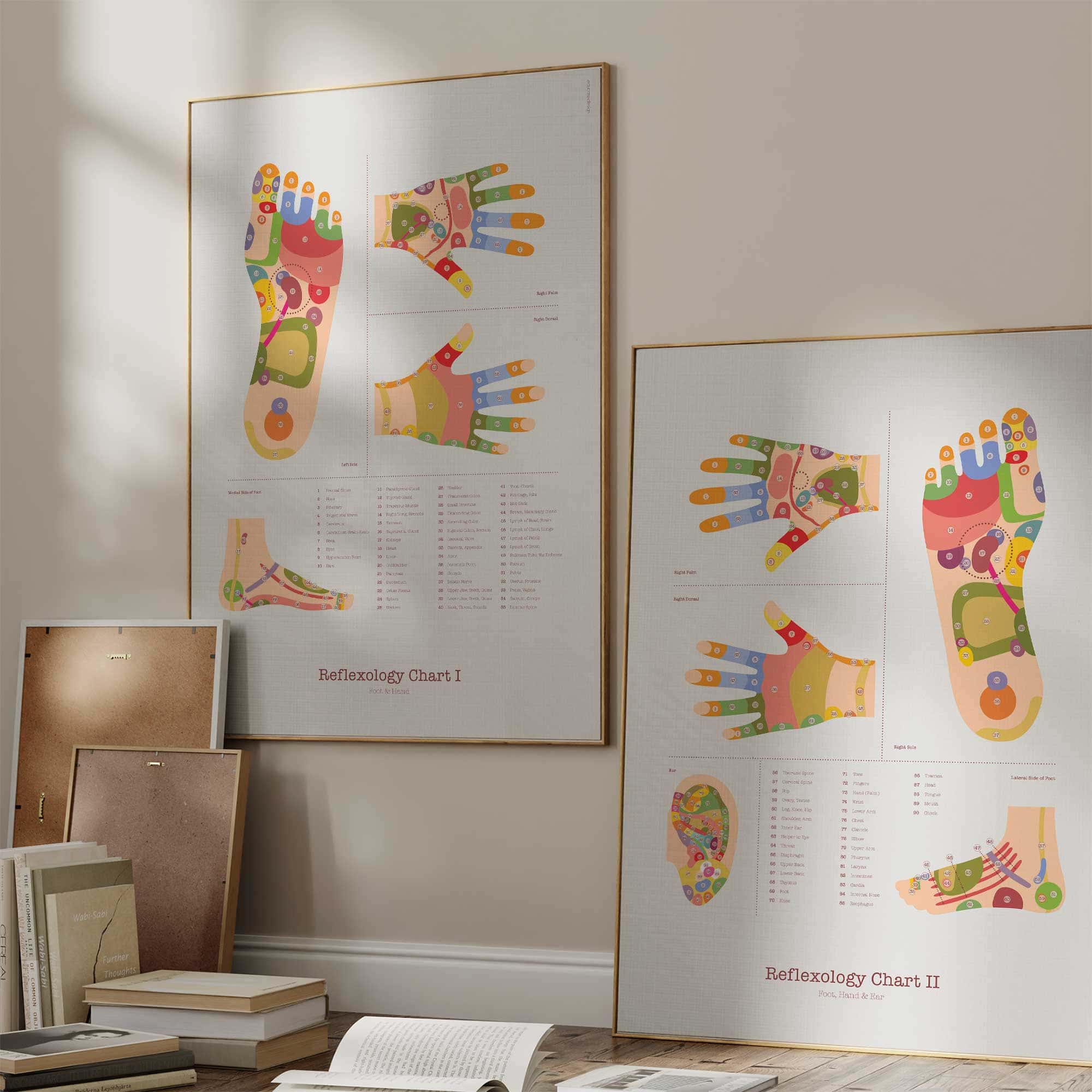 Reflexology Chart Set with Feet, Hand and Ear