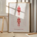 Thai Acupressure Points