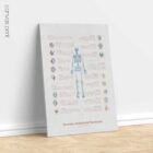 Bursitis Arthritis & Tendonitis