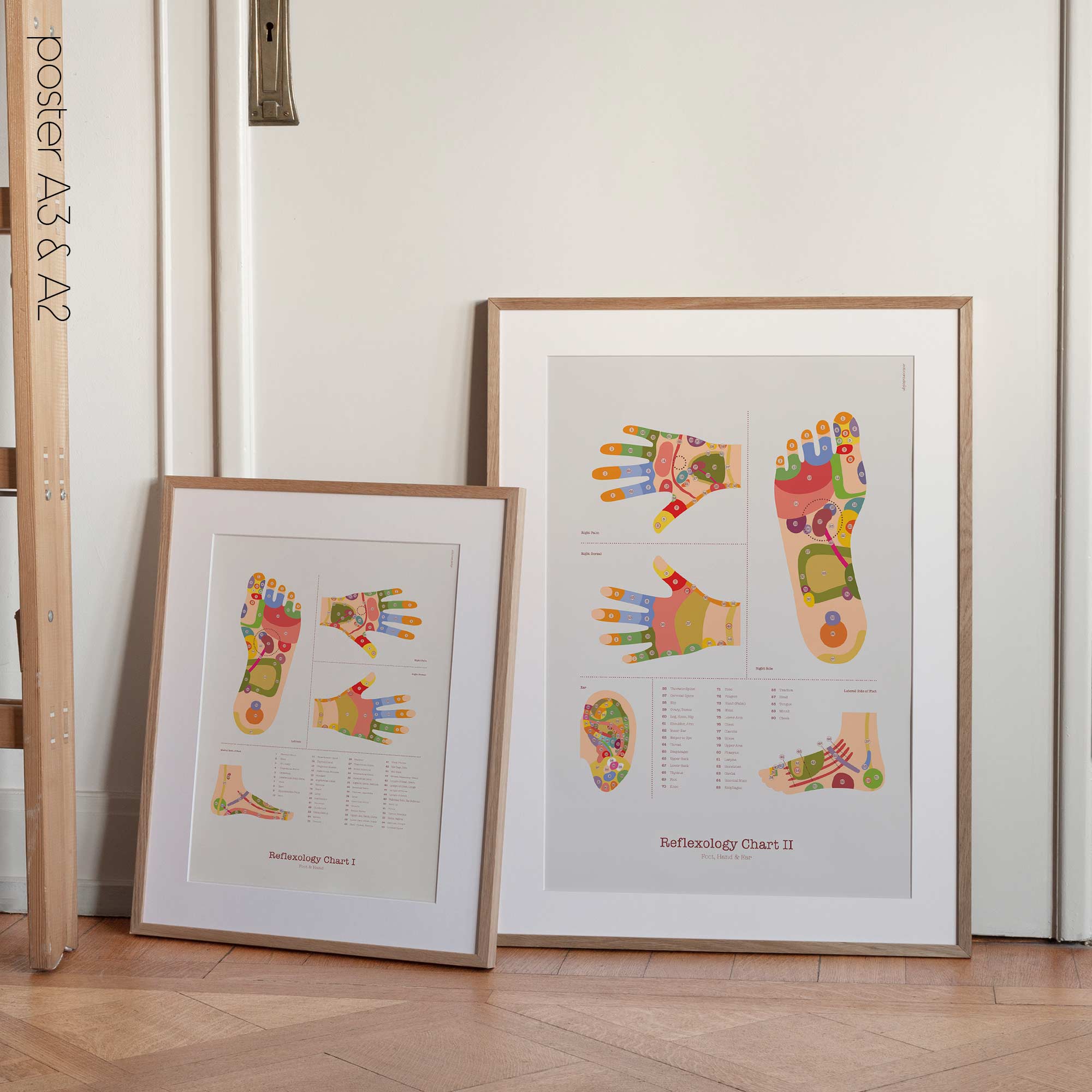 Reflexology Chart Set with Feet, Hand and Ear