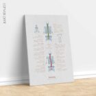 Scoliosis & Musculoskeletal Disorders