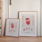 Digestive System and Gastrointestinal Tract Structure anatomy chart for clinics