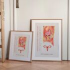 Female Reproductive System anatomy chart for clinics