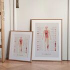 Neural Tissue and Cells anatomy chart for clinics