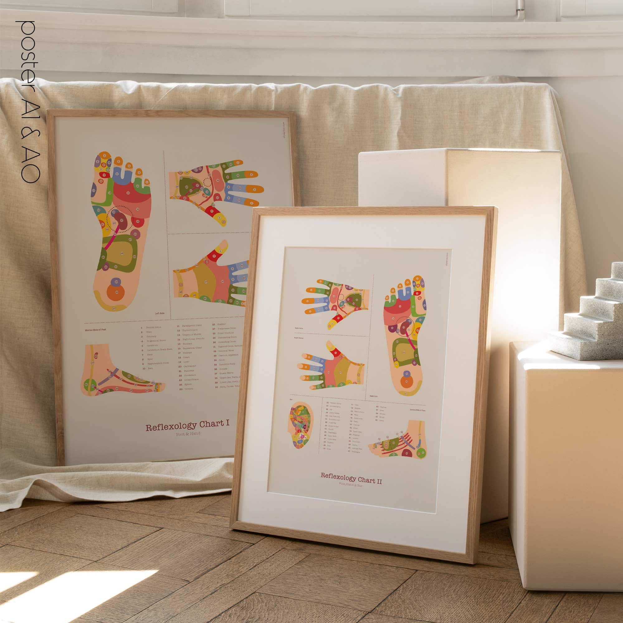 Reflexology Chart Set with Feet, Hand and Ear