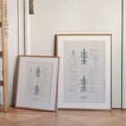 Scoliosis and Musculoskeletal Disorders anatomy chart for clinics