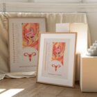 Female Reproductive System