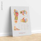 Reflexology Chart Set with Feet, Hand and Ear