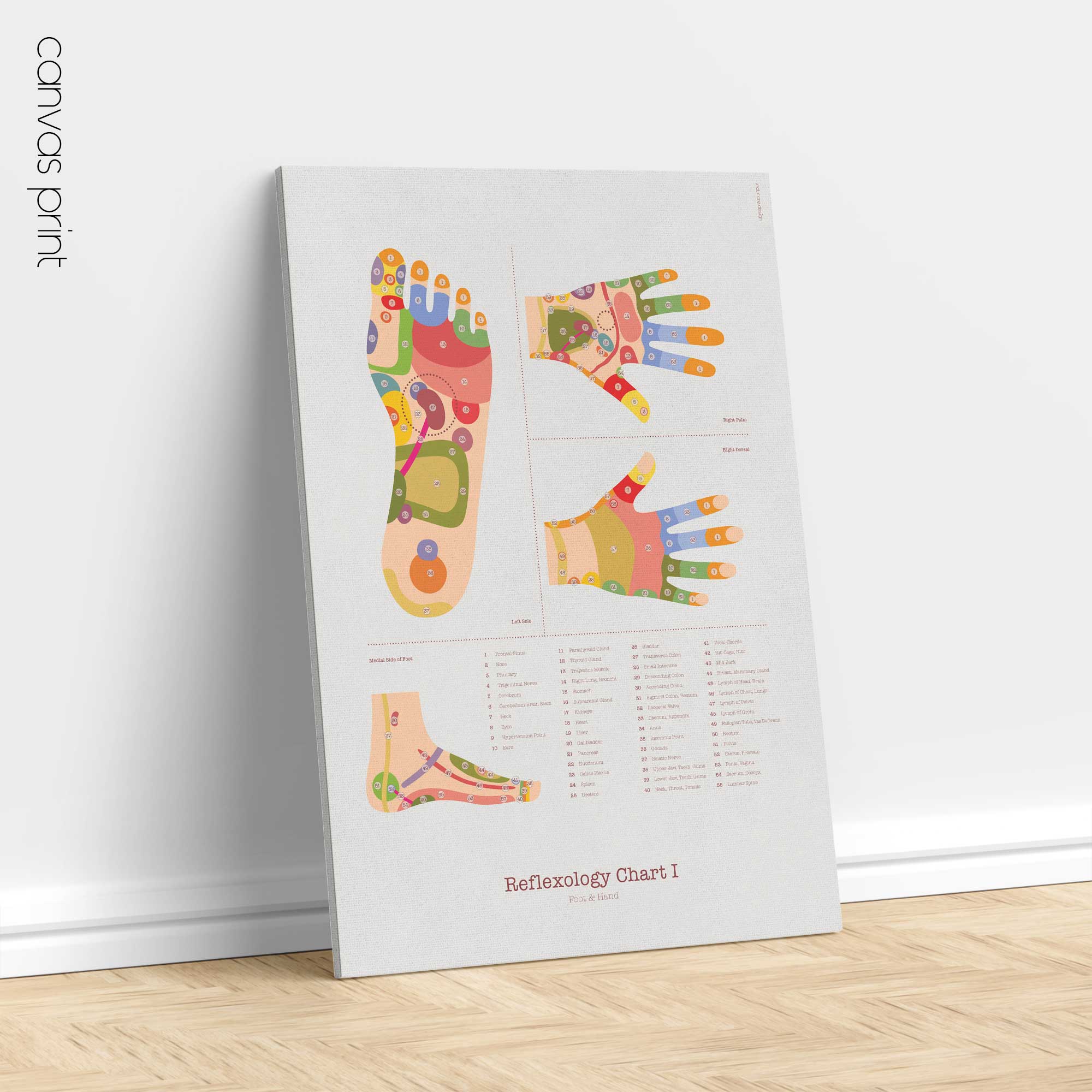 Reflexology Chart Set with Feet, Hand and Ear