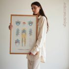 Mechanism of Sciatica anatomy chart for clinics