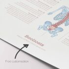 Scoliosis and Musculoskeletal Disorders anatomy chart for clinics