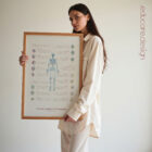 Bursitis, Arthritis and Tendonitis anatomy chart for clinics